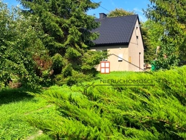 Dom Medyka