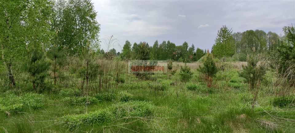 Zdjęcie 2