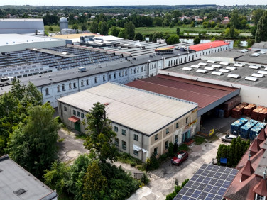 Lokal Myszków