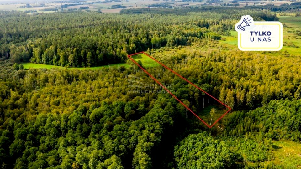 Działka rolna Dobrzyniówka