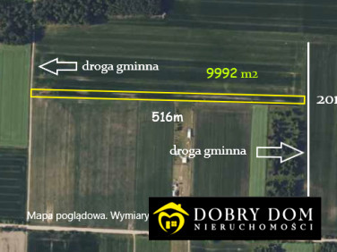 Działka rolna Tryczówka