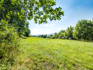 Działka Ropica Polska