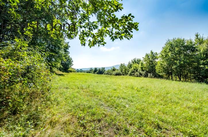 Działka Ropica Polska