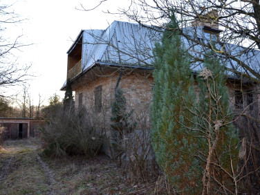 Dom Adamów