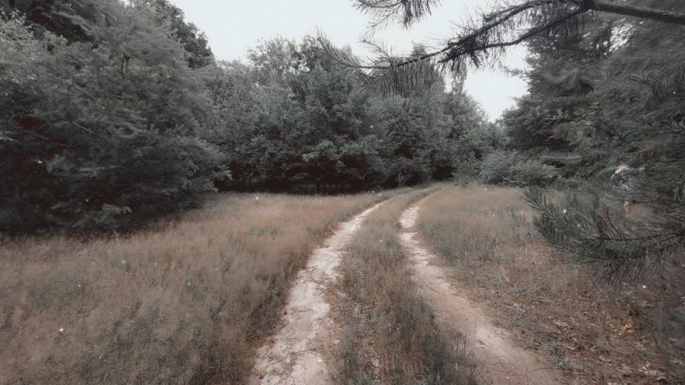 Zdjęcie 3