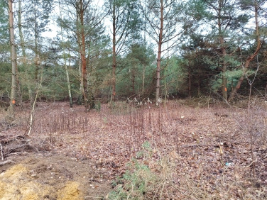 Działka budowlana Zalesie