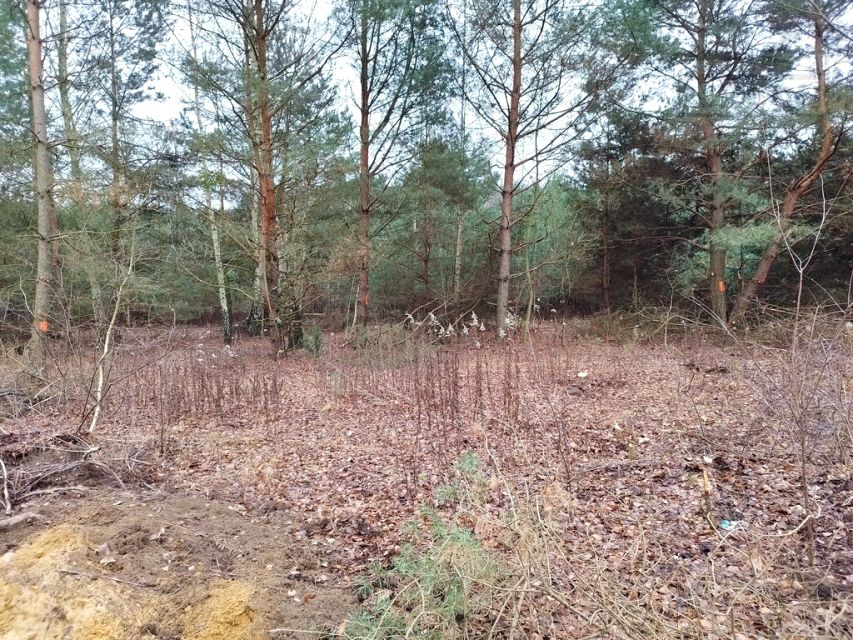 Działka budowlana Zalesie