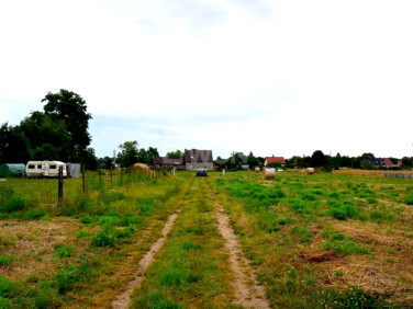 Działka budowlana Wilków