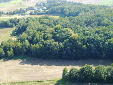 Działka rolna Radłówka