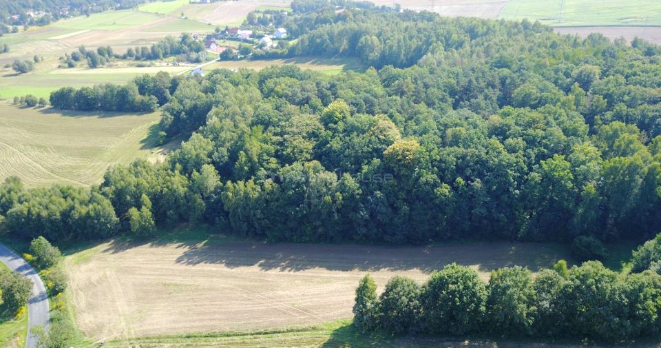 Działka rolna Radłówka