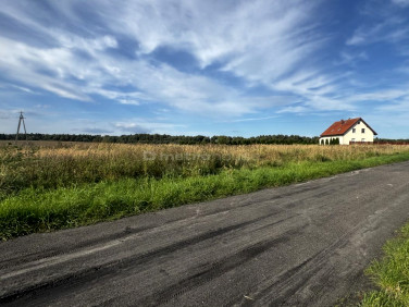 Działka siedliskowa Czernin