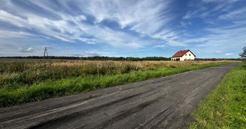 Działka siedliskowa Czernin