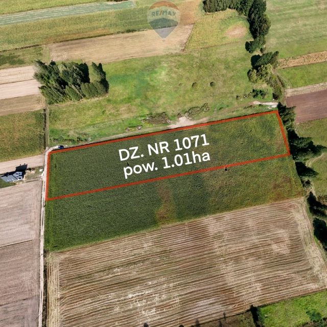 Działka siedliskowa Rębków