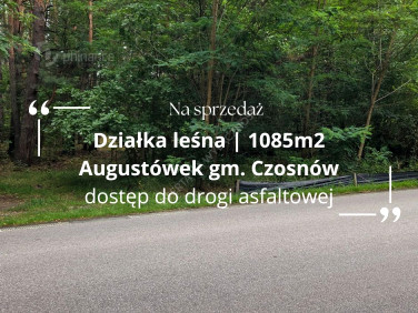 Działka leśna Czosnów