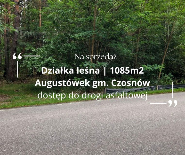 Działka leśna Czosnów