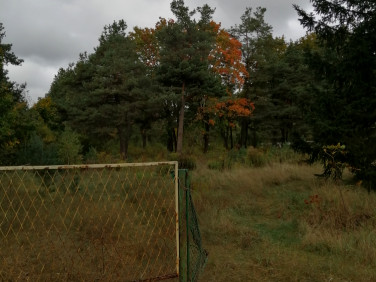 Działka budowlana Czeremcha