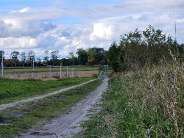 Działka Izbica