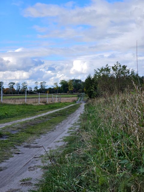 Działka Izbica