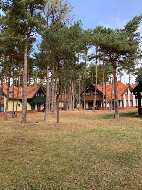Zdjęcie 2