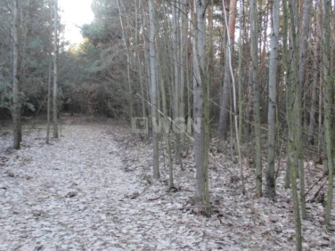 Działka Pradła
