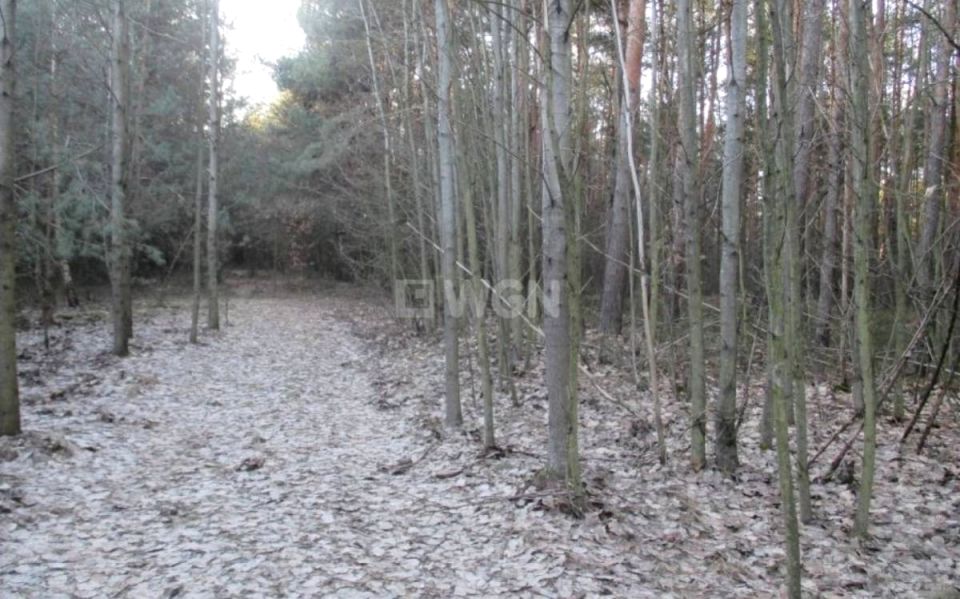 Działka Pradła