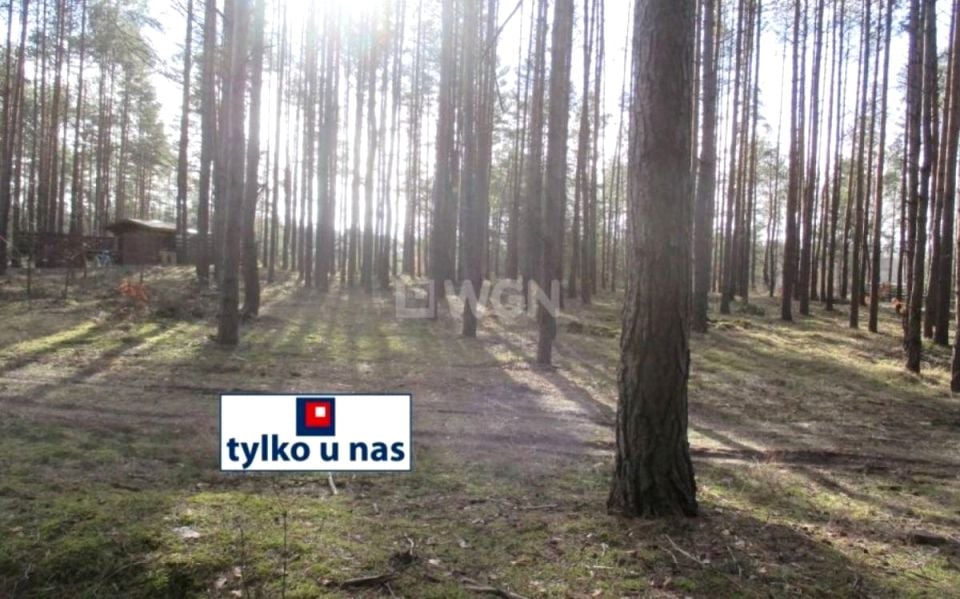 Zdjęcie 2