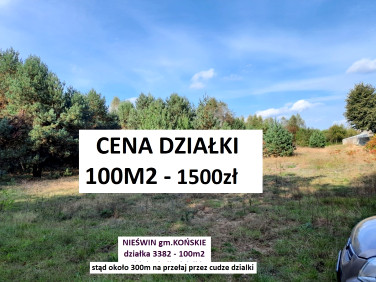 Działka rolna Nieświń