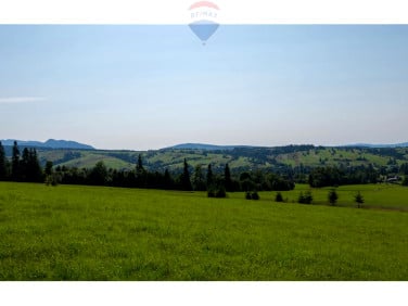 Działka rolna Dzianisz