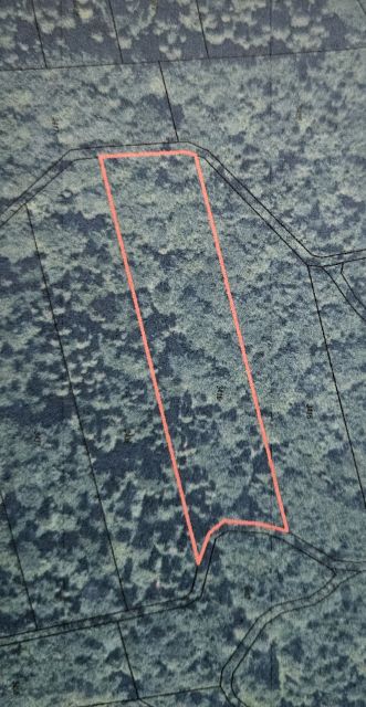 Działka leśna sprzedam