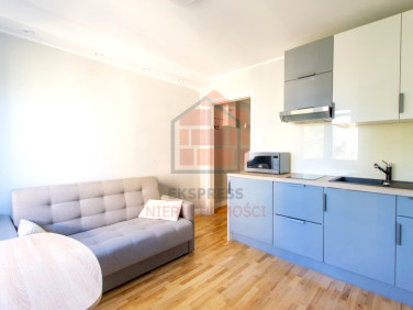 Mieszkanie Gdynia wynajem