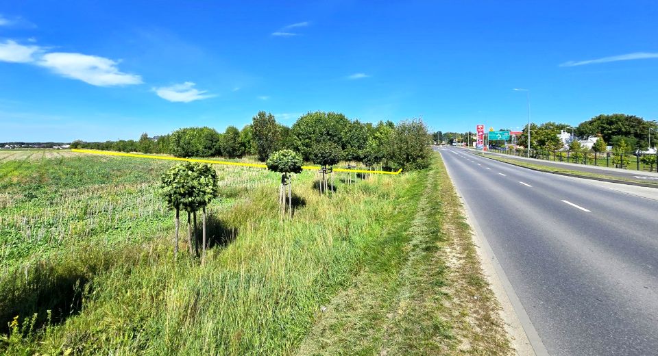Pusta działka Rokietnica