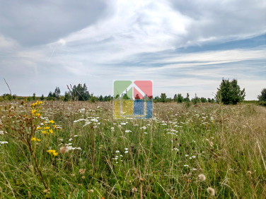 Działka budowlano-rolna Szczawin Kościelny