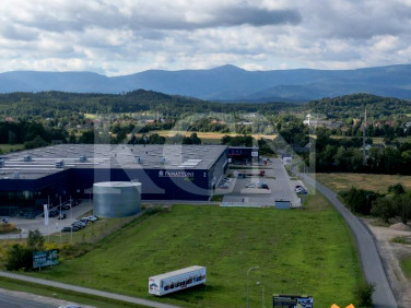 Działka Jelenia Góra