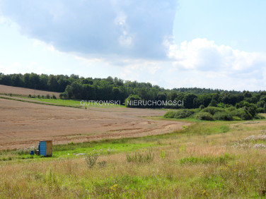 Działka Lekarty