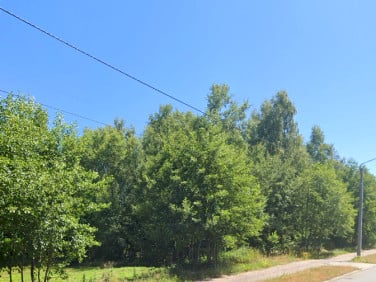 Działka inwestycyjna Skrzyszów sprzedam