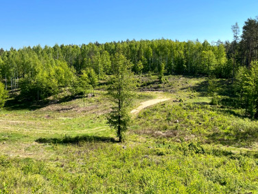 Działka inna Purda