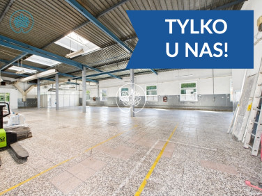 Lokal Bydgoszcz