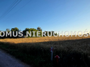 Działka budowlana Rogów