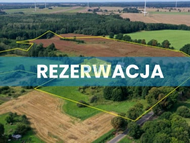 Dom Rzecino