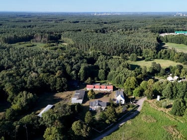 Lokal Sierakowo