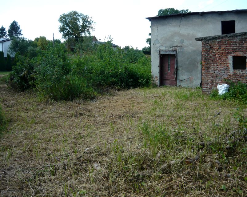 Działka siedliskowa Połomia