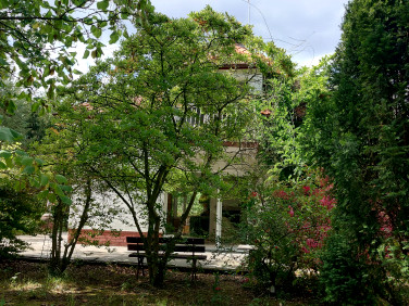 Dom Siestrzeń