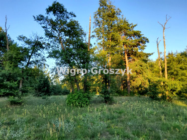 Działka budowlana Pogorzelec sprzedam
