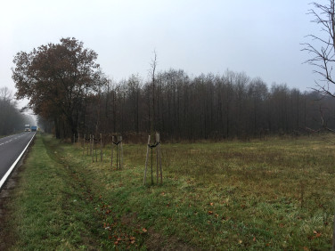 Działka budowlana Choiny sprzedam