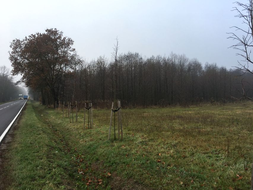 Działka budowlana Choiny sprzedam