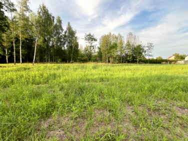 Działka budowlana Jasionka