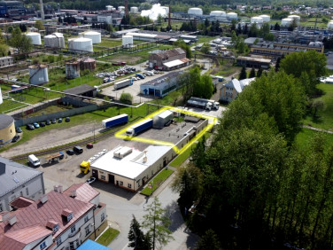 Lokal Niegłowice