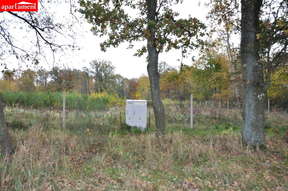 Działka budowlana Bagno sprzedam