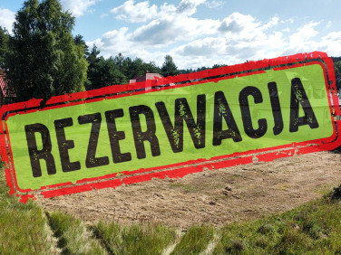 Działka Niwy
