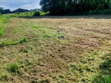 Działka budowlana Targowisko